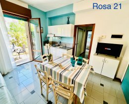 Rosa