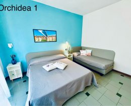 Orchidea