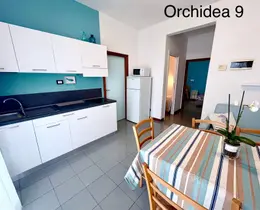 Orchidea