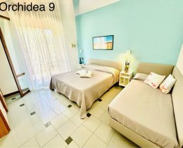 Orchidea