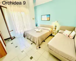 Orchidea