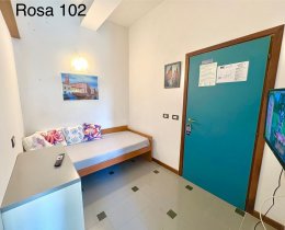 Rosa