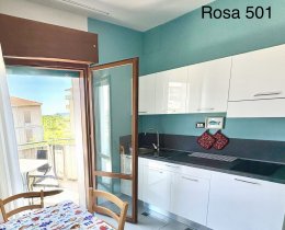 Rosa