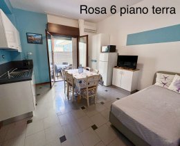 Rosa