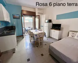 Rosa