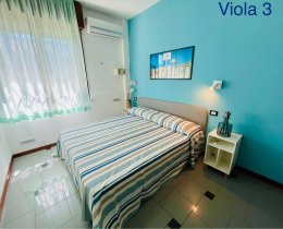 Viola