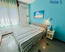 Viola