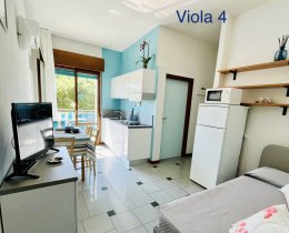 Viola