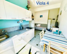 Viola