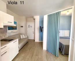 Viola