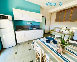 Viola