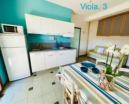 Viola
