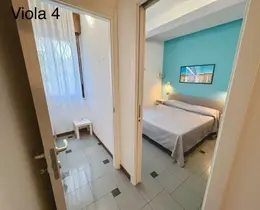 Viola