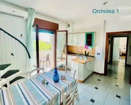 Orchidea