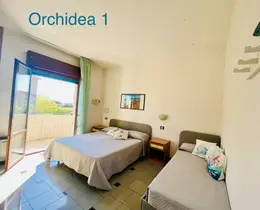 Orchidea