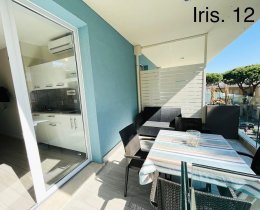 Iris