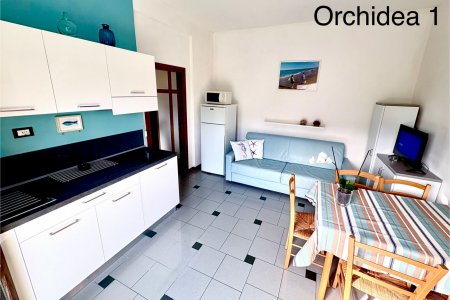 Orchidea 1
