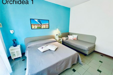 Orchidea 1