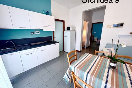 Orchidea 9
