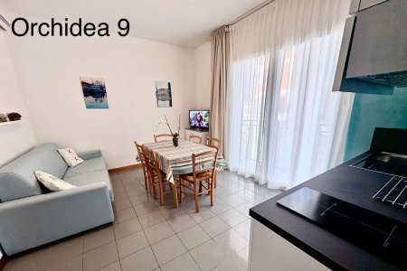 Orchidea 9