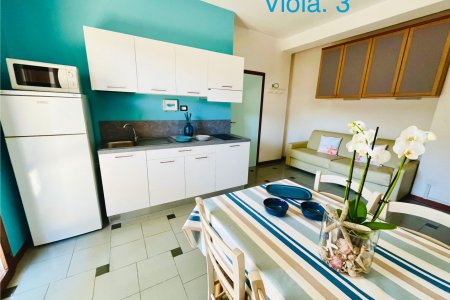 VIOLA 3